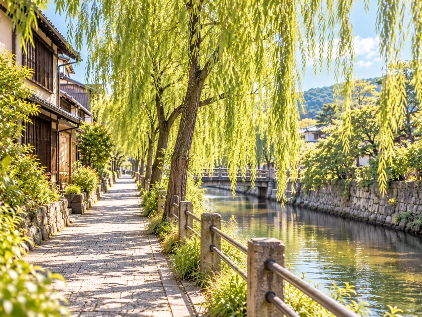疏水沿いの道